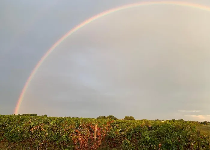 Clos Des Marais Maison d'hôtes